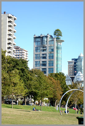 Tree Haus