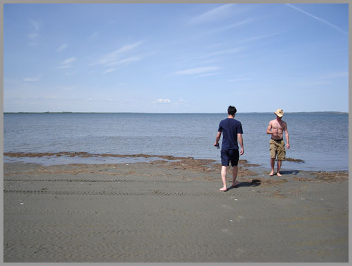 beachlake property