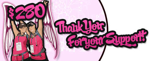 Thank you for your support! We've raised over $280 for Breast Cancer Research. Thank You For your Support